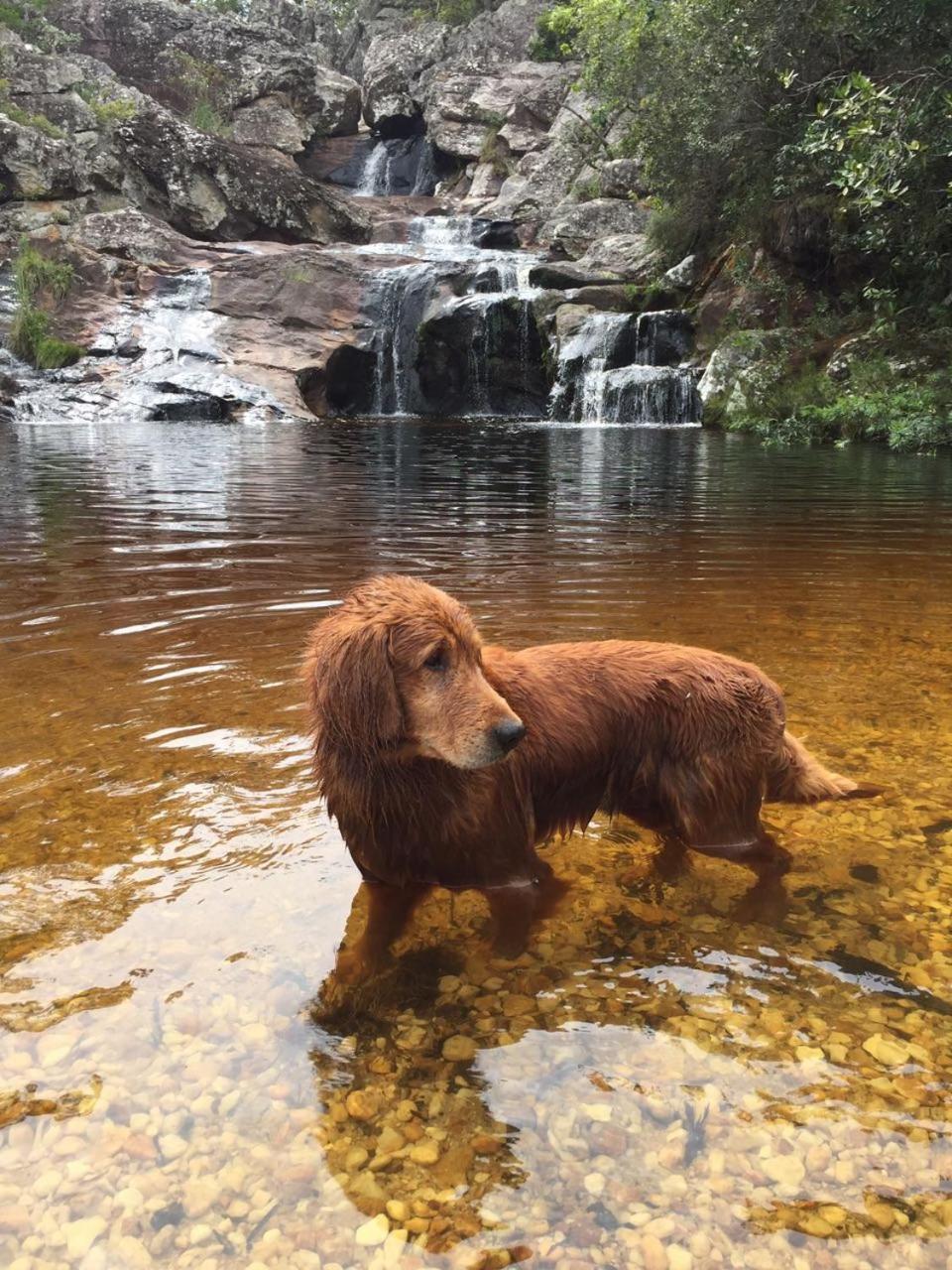 Pousada Rural Recanto Do Vale São Gonçalo do Rio das Pedras Exterior foto